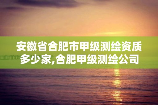 安徽省合肥市甲级测绘资质多少家,合肥甲级测绘公司。