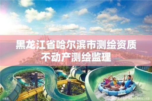 黑龙江省哈尔滨市测绘资质不动产测绘监理