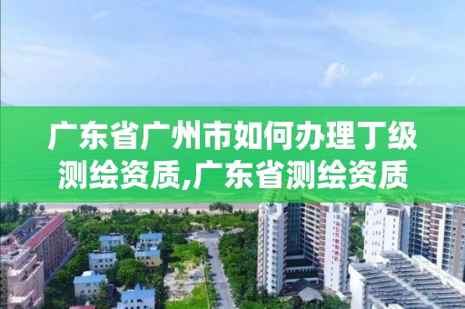 广东省广州市如何办理丁级测绘资质,广东省测绘资质管理系统