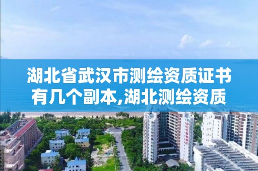 湖北省武汉市测绘资质证书有几个副本,湖北测绘资质查询