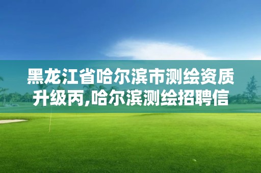 黑龙江省哈尔滨市测绘资质升级丙,哈尔滨测绘招聘信息