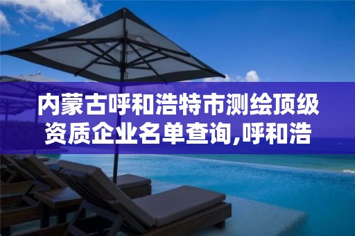 内蒙古呼和浩特市测绘顶级资质企业名单查询,呼和浩特市测绘仪器店。