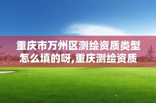 重庆市万州区测绘资质类型怎么填的呀,重庆测绘资质如何办理。