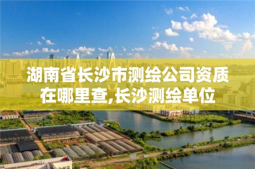 湖南省长沙市测绘公司资质在哪里查,长沙测绘单位