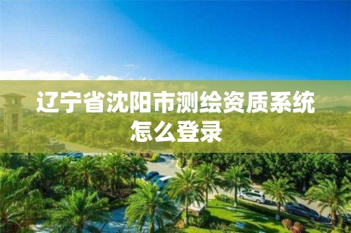 辽宁省沈阳市测绘资质系统怎么登录