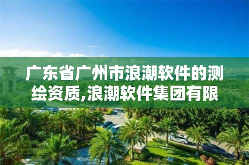 广东省广州市浪潮软件的测绘资质,浪潮软件集团有限公司软件评测实验室