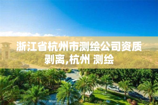 浙江省杭州市测绘公司资质剥离,杭州 测绘