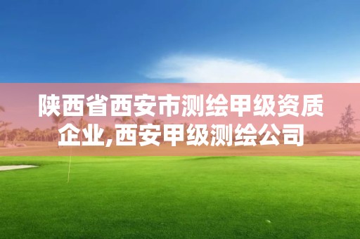 陕西省西安市测绘甲级资质企业,西安甲级测绘公司