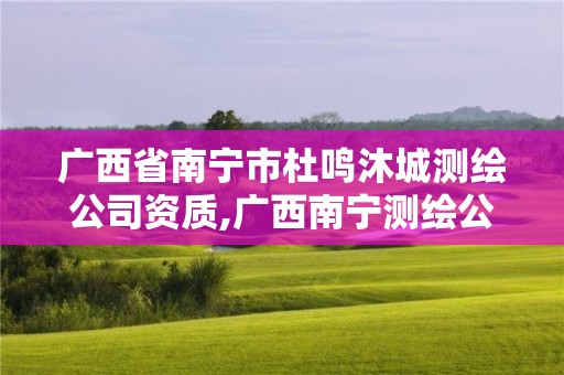 广西省南宁市杜鸣沐城测绘公司资质,广西南宁测绘公司排名。