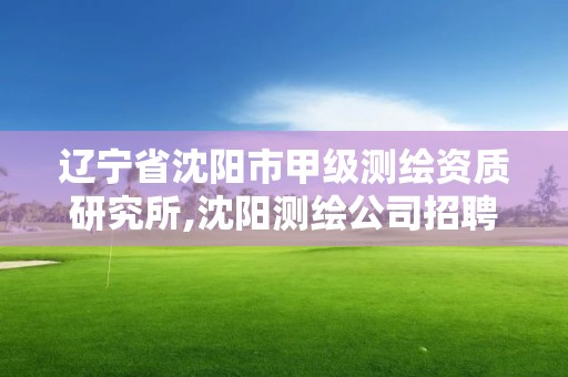 辽宁省沈阳市甲级测绘资质研究所,沈阳测绘公司招聘信息最新招聘。