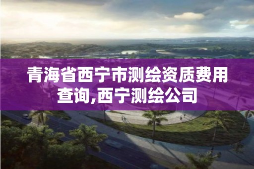 青海省西宁市测绘资质费用查询,西宁测绘公司