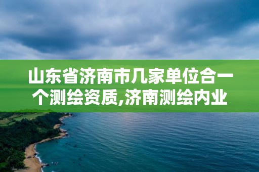 山东省济南市几家单位合一个测绘资质,济南测绘内业招聘信息。