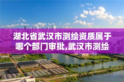 湖北省武汉市测绘资质属于哪个部门审批,武汉市测绘工程技术规定。