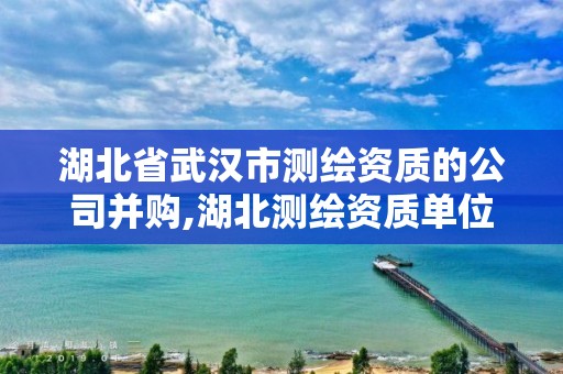 湖北省武汉市测绘资质的公司并购,湖北测绘资质单位