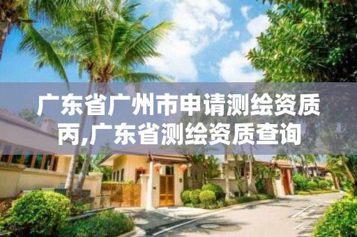 广东省广州市申请测绘资质丙,广东省测绘资质查询