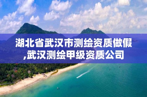 湖北省武汉市测绘资质做假,武汉测绘甲级资质公司