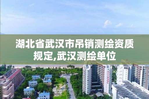 湖北省武汉市吊销测绘资质规定,武汉测绘单位