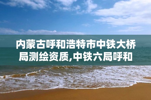 内蒙古呼和浩特市中铁大桥局测绘资质,中铁六局呼和铁建测绘分公司