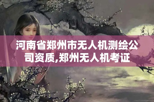 河南省郑州市无人机测绘公司资质,郑州无人机考证