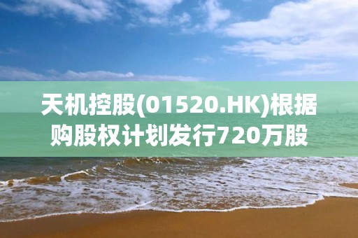 天机控股(01520.HK)根据购股权计划发行720万股