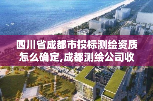 四川省成都市投标测绘资质怎么确定,成都测绘公司收费标准