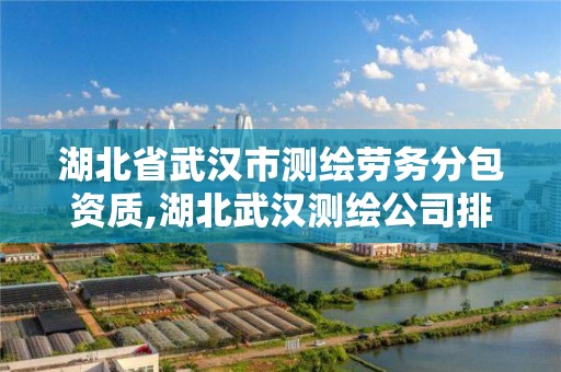 湖北省武汉市测绘劳务分包资质,湖北武汉测绘公司排行榜