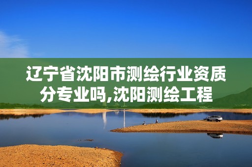 辽宁省沈阳市测绘行业资质分专业吗,沈阳测绘工程