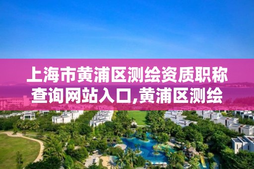 上海市黄浦区测绘资质职称查询网站入口,黄浦区测绘局。