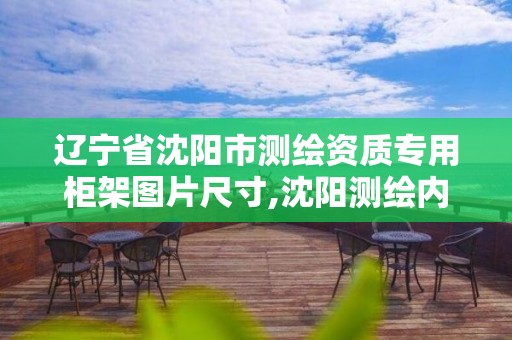 辽宁省沈阳市测绘资质专用柜架图片尺寸,沈阳测绘内业招聘信息。