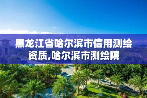 黑龙江省哈尔滨市信用测绘资质,哈尔滨市测绘院