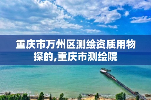 重庆市万州区测绘资质用物探的,重庆市测绘院