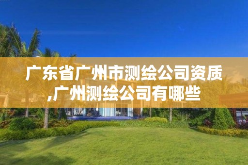 广东省广州市测绘公司资质,广州测绘公司有哪些