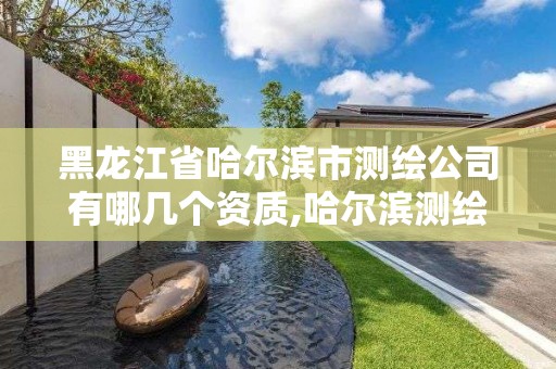 黑龙江省哈尔滨市测绘公司有哪几个资质,哈尔滨测绘勘察研究院怎么样。