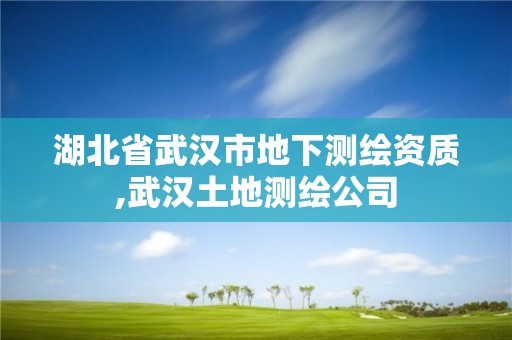 湖北省武汉市地下测绘资质,武汉土地测绘公司