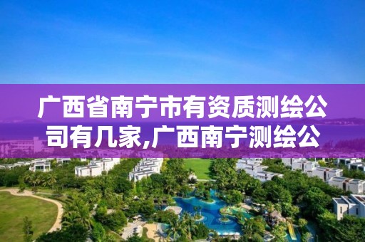 广西省南宁市有资质测绘公司有几家,广西南宁测绘公司排名。