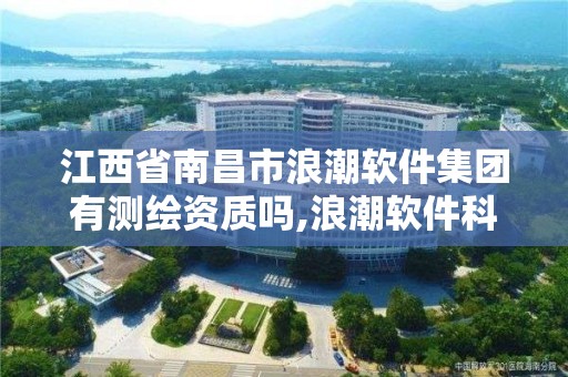 江西省南昌市浪潮软件集团有测绘资质吗,浪潮软件科技有限公司招聘。