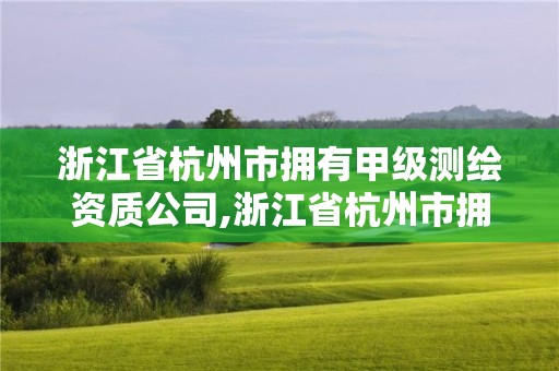 浙江省杭州市拥有甲级测绘资质公司,浙江省杭州市拥有甲级测绘资质公司有几家