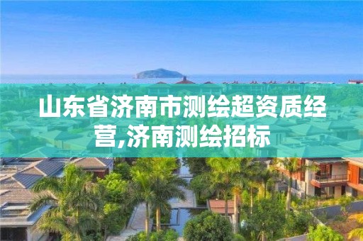 山东省济南市测绘超资质经营,济南测绘招标