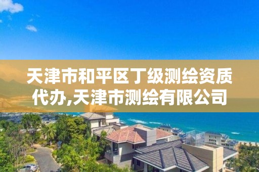 天津市和平区丁级测绘资质代办,天津市测绘有限公司