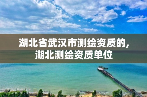 湖北省武汉市测绘资质的,湖北测绘资质单位