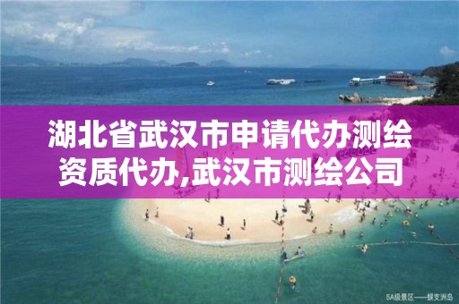 湖北省武汉市申请代办测绘资质代办,武汉市测绘公司。