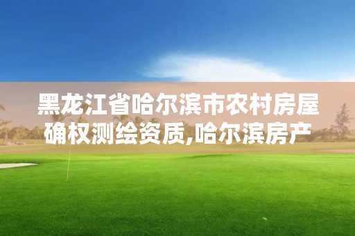 黑龙江省哈尔滨市农村房屋确权测绘资质,哈尔滨房产测绘公司电话