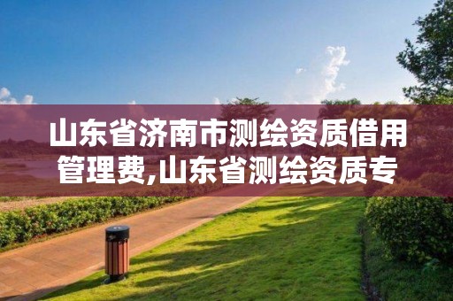 山东省济南市测绘资质借用管理费,山东省测绘资质专用章图片