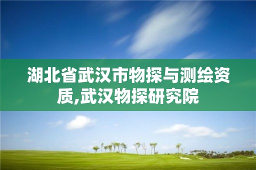 湖北省武汉市物探与测绘资质,武汉物探研究院