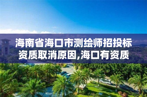 海南省海口市测绘师招投标资质取消原因,海口有资质的测绘公司。