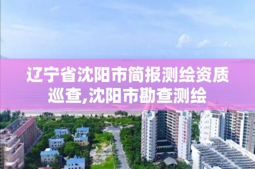 辽宁省沈阳市简报测绘资质巡查,沈阳市勘查测绘