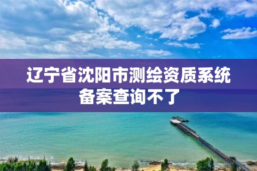 辽宁省沈阳市测绘资质系统备案查询不了