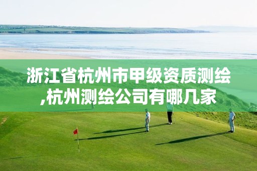 浙江省杭州市甲级资质测绘,杭州测绘公司有哪几家