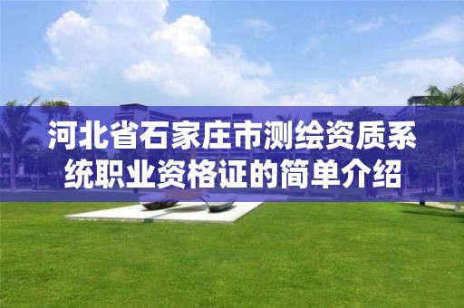 河北省石家庄市测绘资质系统职业资格证的简单介绍