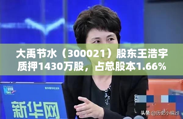 大禹节水（300021）股东王浩宇质押1430万股，占总股本1.66%